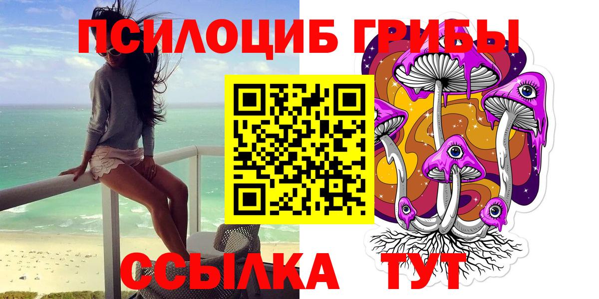 Галлюциногенные грибы GOLDEN TEACHER  Галлюциногенные грибы Psilocybine cubensis  Удомля  Вход с VPN 